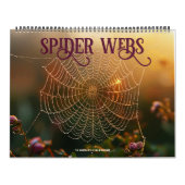 Spider Webs Kalender (Titelbild)