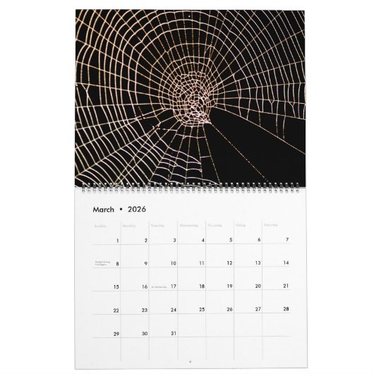Spider Webs Kalender (Mär 2026)