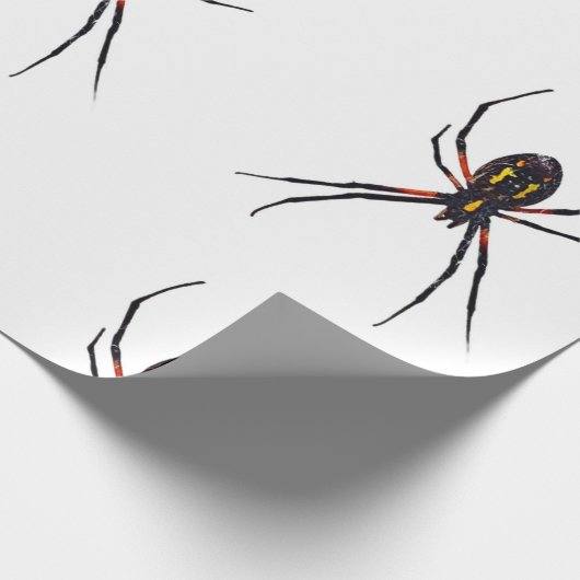 Spider Wrapping Paper Geschenkpapier (Ecke)