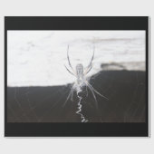 Spider Wrapping Paper Geschenkpapier (Flach)