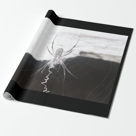 Spider Wrapping Paper Geschenkpapier (Ungerollt)