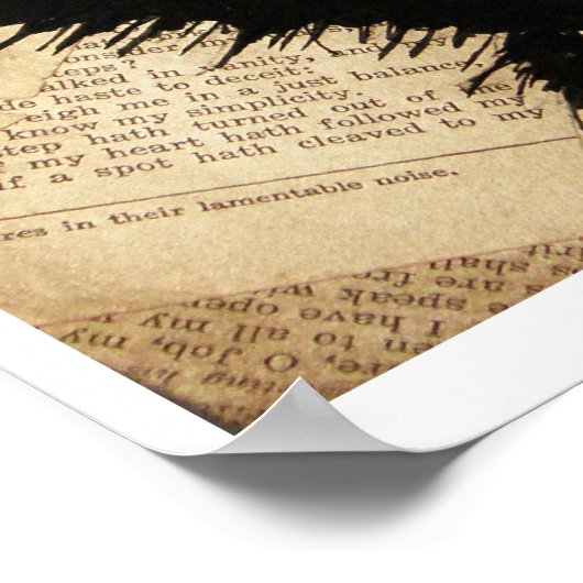 SpiderMonkey Poster (Ecke)