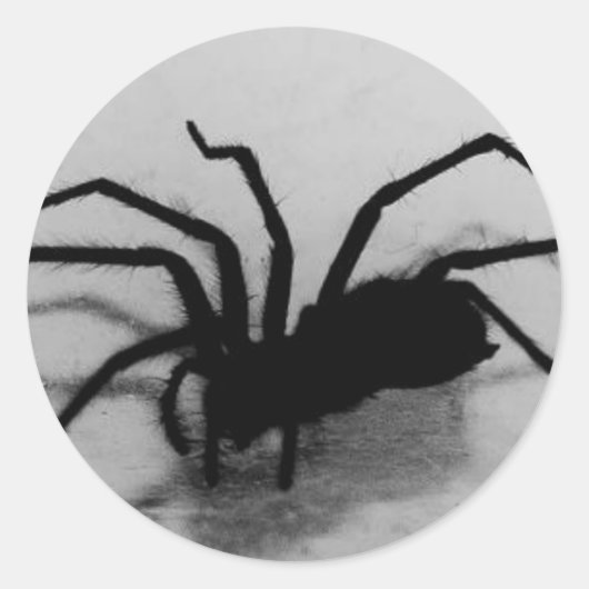 Spideroo Runder Aufkleber (Vorderseite)