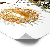 Spiders, Ernst Haeckel Fine Art Poster (Ecke)