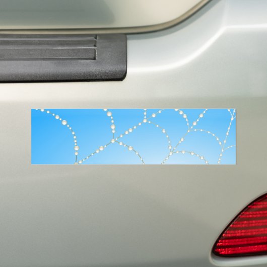 Spiders Web Autoaufkleber (Auf Auto)