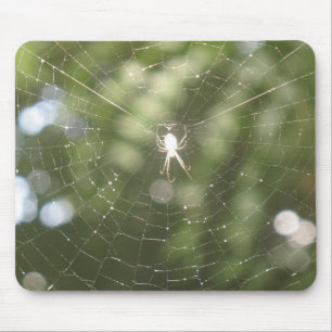 Spider's Web Mousepad