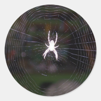 Spiders Web Runder Aufkleber