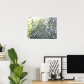 Spiders Webposter Poster (Heimbüro)