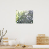 Spiders Webposter Poster (Küche)