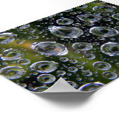 Spiderweb Droplets Poster (Ecke)
