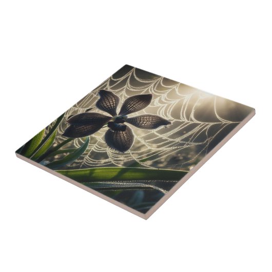 Spiderweb floral fliese (Seite)