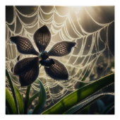 Spiderweb floral poster (Vorderseite)