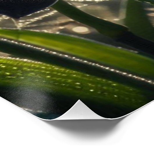 Spiderweb floral poster (Ecke)