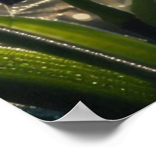 Spiderweb floral poster (Ecke)