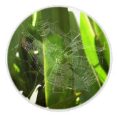 Spiderweb in tropischen Blätter Natur Keramikknauf (Vorderseite)