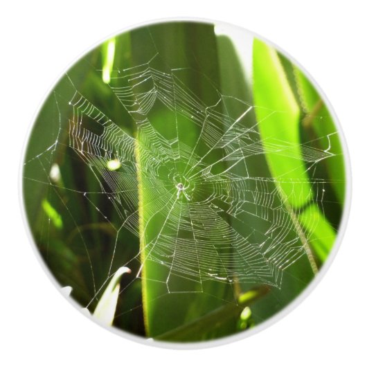 Spiderweb in tropischen Blätter Natur Keramikknauf (Vorderseite)