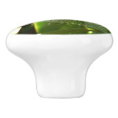 Spiderweb in tropischen Blätter Natur Keramikknauf (Seitenansicht)