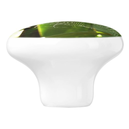 Spiderweb in tropischen Blätter Natur Keramikknauf (Seitenansicht)