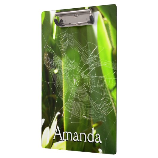 Spiderweb in tropischen Blätter Natur Klemmbrett (Links)