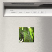 Spiderweb in tropischen Blätter Natur Magnet (In Situ (Geschirrspüler))