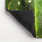 Spiderweb in tropischen Blätter Natur Mousepad (Ecke)