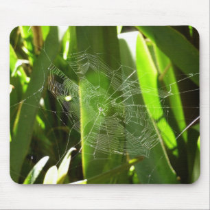 Spiderweb in tropischen Blätter Natur Mousepad