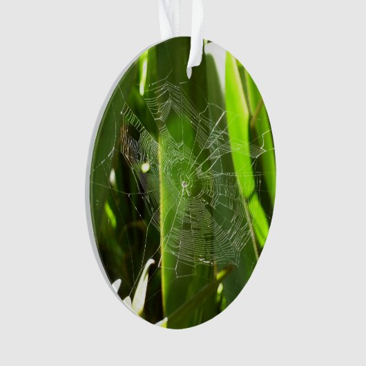 Spiderweb in tropischen Blätter Natur Ornament (Vorderseite)