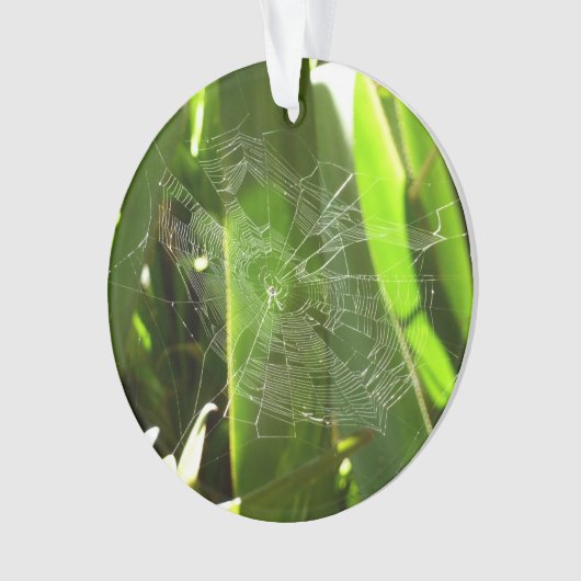 Spiderweb in tropischen Blätter Natur Ornament (Vorderseite)