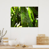 Spiderweb in tropischen Blätter Natur Poster (Küche)