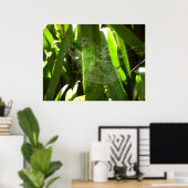 Spiderweb in tropischen Blätter Natur Poster (Heimbüro)