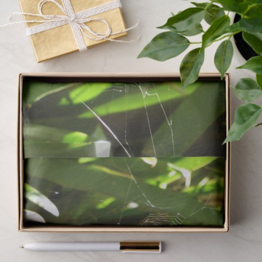 Spiderweb in tropischen Blätter Natur Seidenpapier (Geschenk)