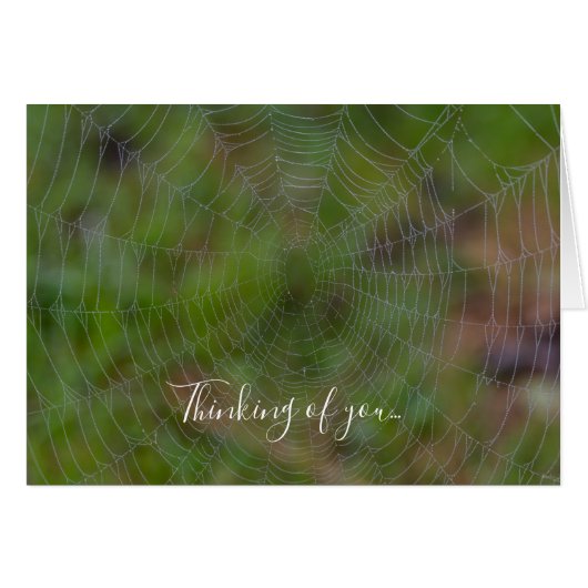 Spiderweb mit Droplets denken Sie an Ihre Karte (Vorderseite (Horizontal))