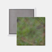 Spiderweb mit Droplets Magnet (Vorderseite/Rückseite)