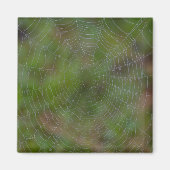 Spiderweb mit Droplets Magnet (Vorne)