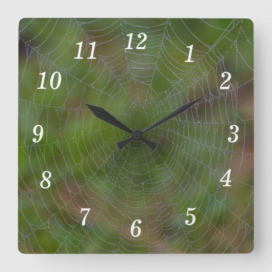 Spiderweb mit Klappenhalterung Quadratische Wanduhr (Vorderseite)