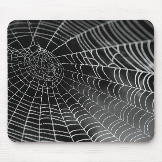 Spiderweb mousepad (Vorne)