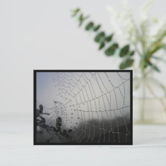 Spiderweb Post Card Postkarte (Stehend Vorderseite)