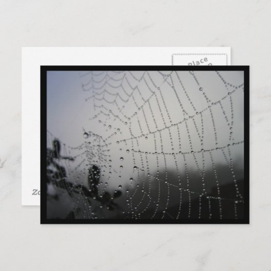 Spiderweb Post Card Postkarte (Vorne/Hinten)