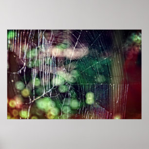 Spiderweb Poster #5476