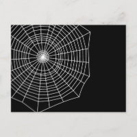 Spiderweb