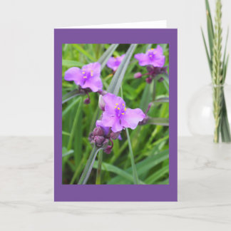 Spiderwort Blank Note Card Karte