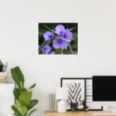 Spiderwort-Plakat Poster (Heimbüro)