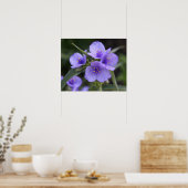 Spiderwort-Plakat Poster (Küche)
