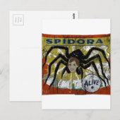 Spidora Postkarte (Vorne/Hinten)