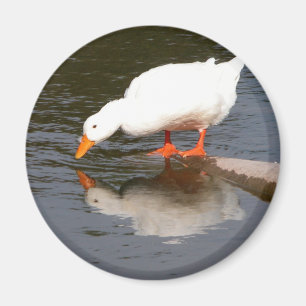 Spiegel-Spiegel Magnet