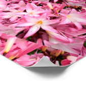 Spiegel von Amaryllis.... Poster (Ecke)