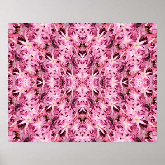 Spiegel von Amaryllis.... Poster (Vorne)