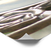 Spiegeland Mockingbird Trinkwasser-Poster Poster (Ecke)