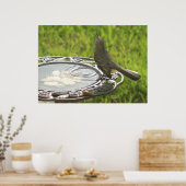 Spiegeland Mockingbird Trinkwasser-Poster Poster (Küche)