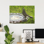 Spiegeland Mockingbird Trinkwasser-Poster Poster (Heimbüro)